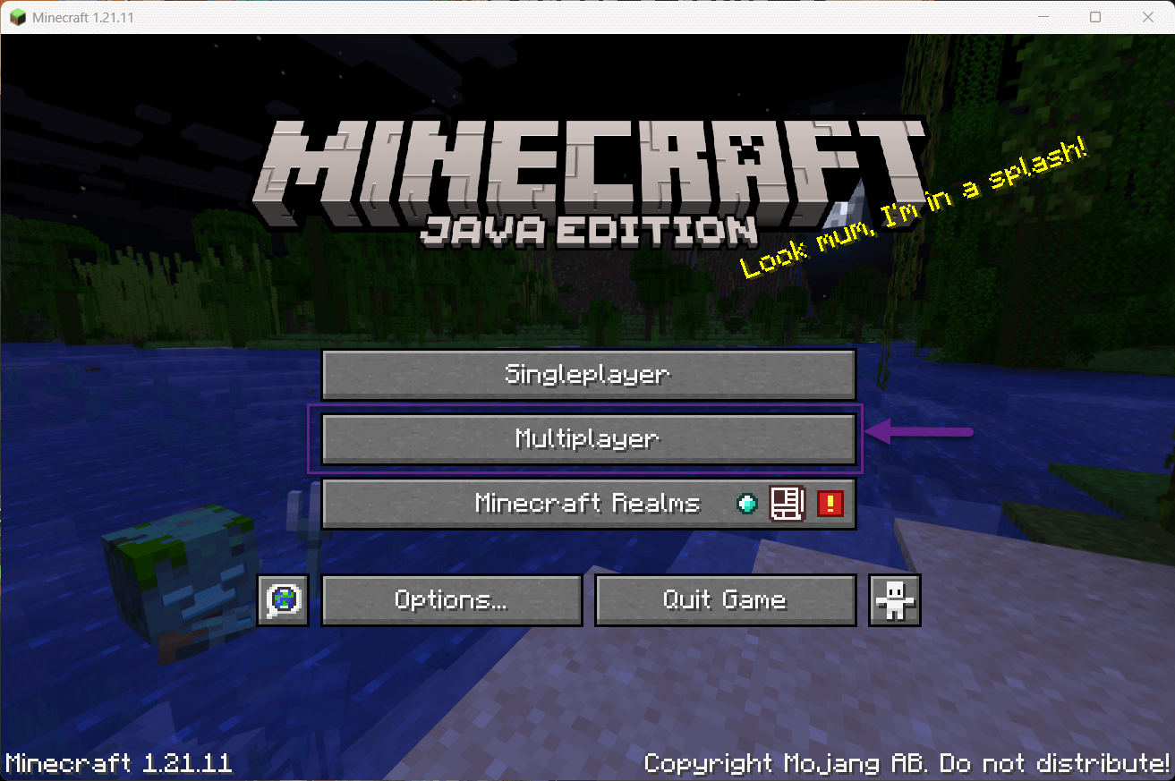 Minecraft hoofdmenu – Multiplayer knop
