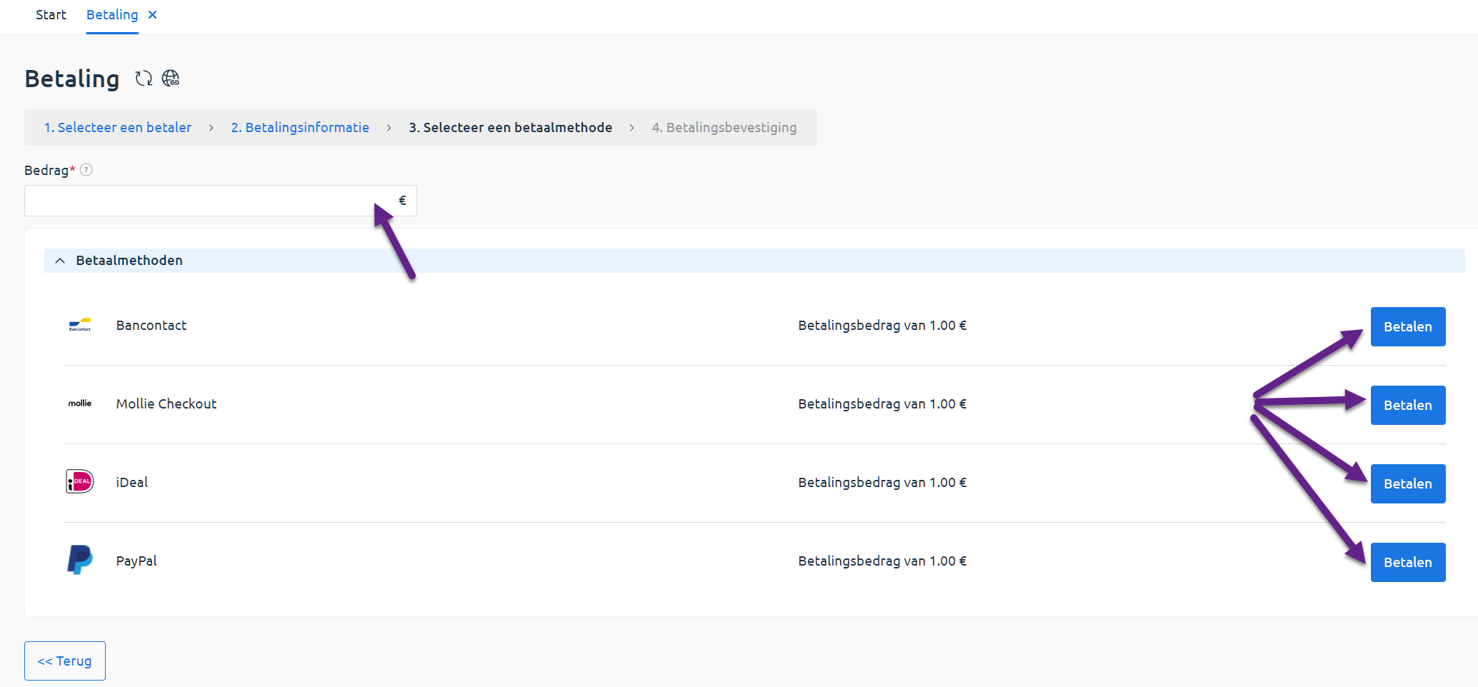 saldo_toevoegen_stap3_bedrag_en_methode