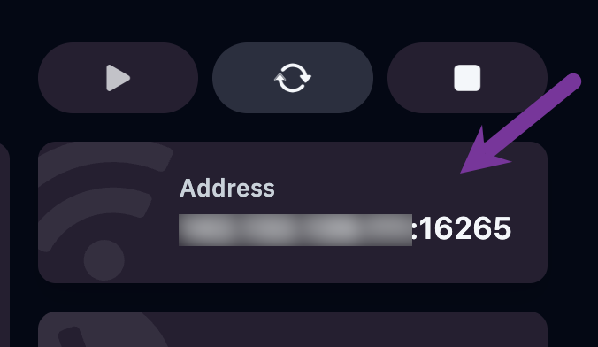 Server IP and port in the panel